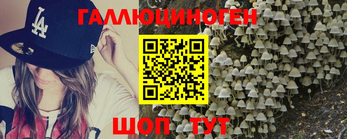 наркота  Псилоцибиновые грибы ЛСД  Вход с VPN  Ступино  Псилоцибиновые грибы GOLDEN TEACHER 