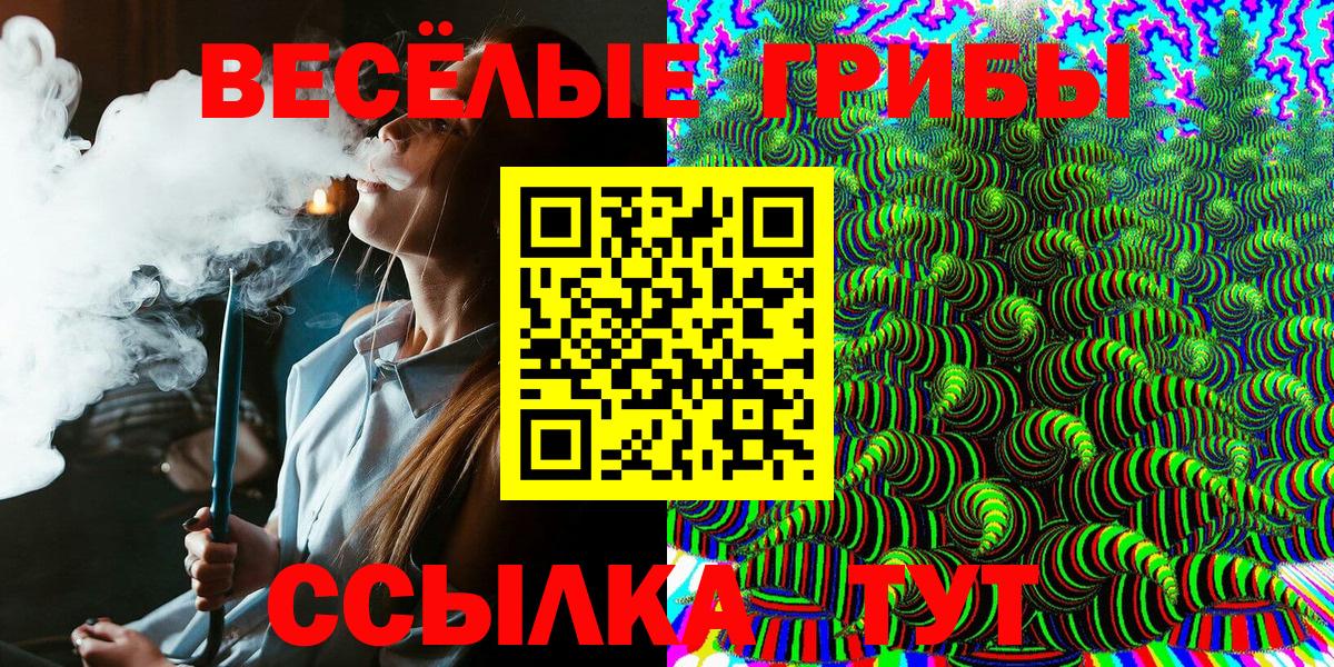 Галлюциногенные грибы Psilocybe Ступино